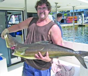 Cobia are a relatively common catch off Noosa in July.